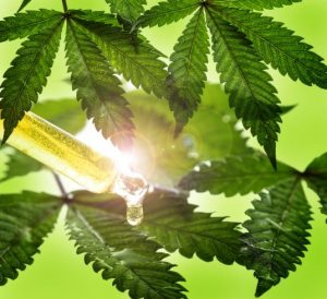 What Are The Different Grades Of CBD